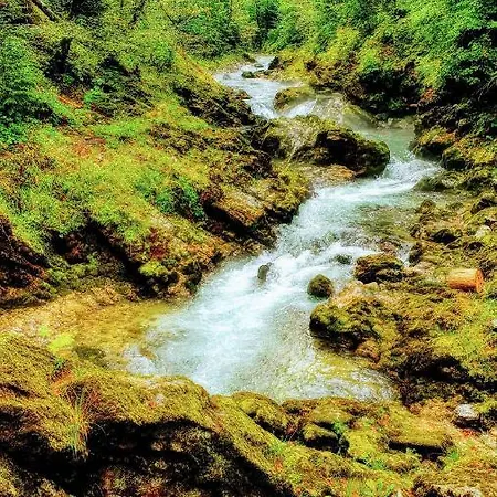 Ivana B Lesce (Upper Carniola)