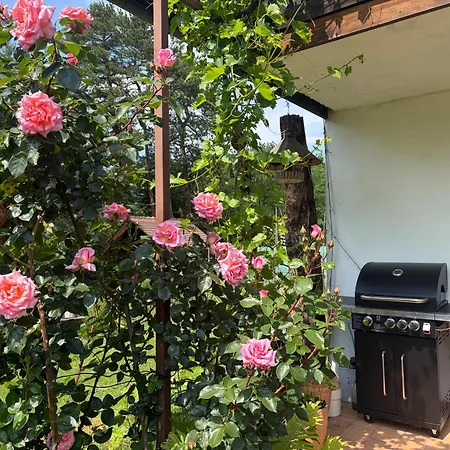 Apartamento Ivana B Lesce (Upper Carniola)