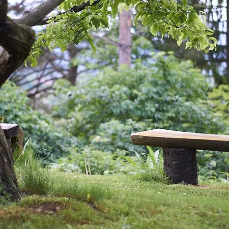 Ivana B 公寓 勒什