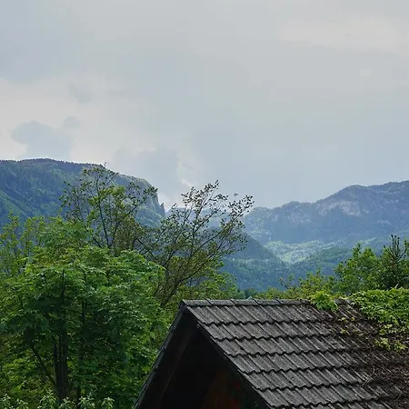 Ivana B Lägenhet Lesce (Upper Carniola)