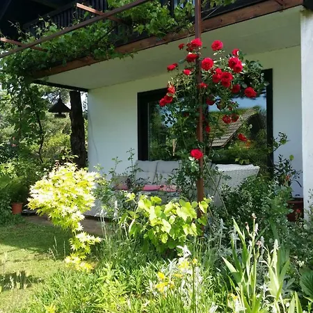 Apartma Ivana B