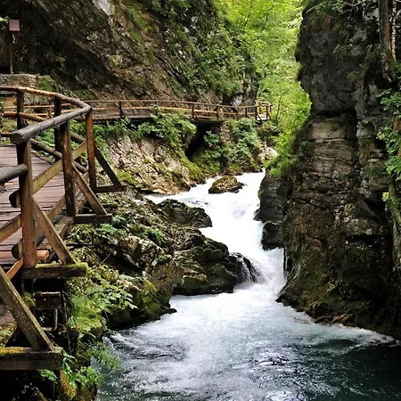 Lägenhet Ivana B Lesce (Upper Carniola)