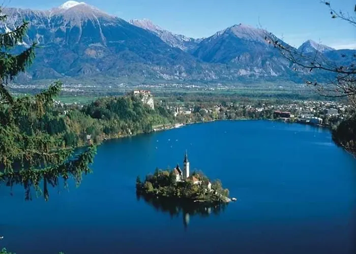 Ivana B アパート *