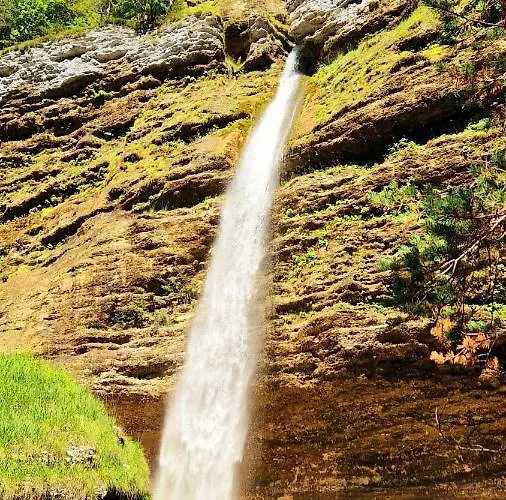 Ivana B アパート *