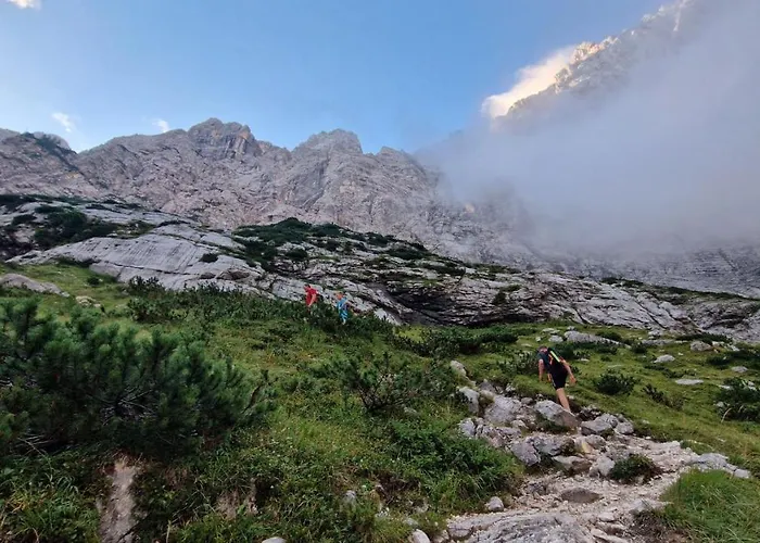 アパート Ivana B *