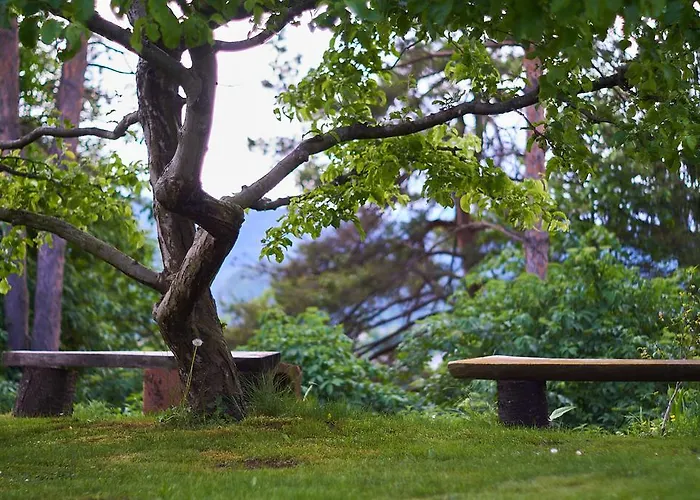 Ivana B アパート レスツェ