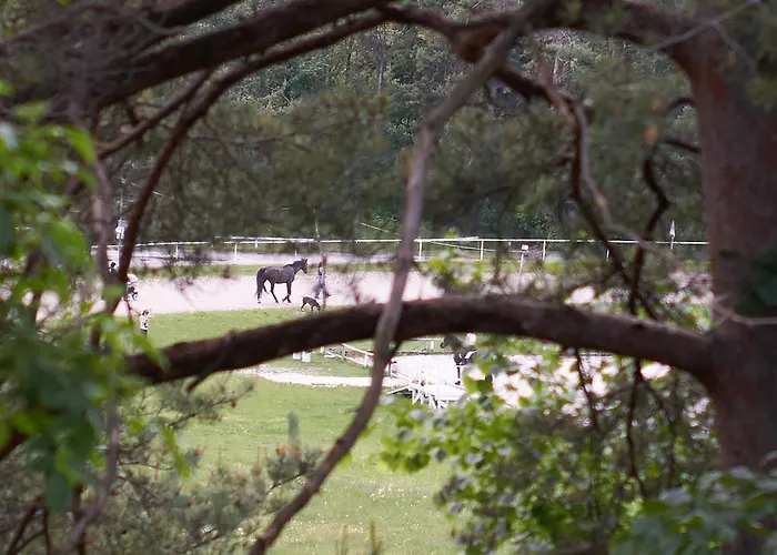 アパート Ivana B レスツェ