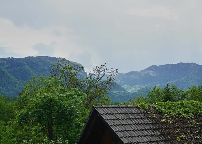 Ivana B アパート レスツェ