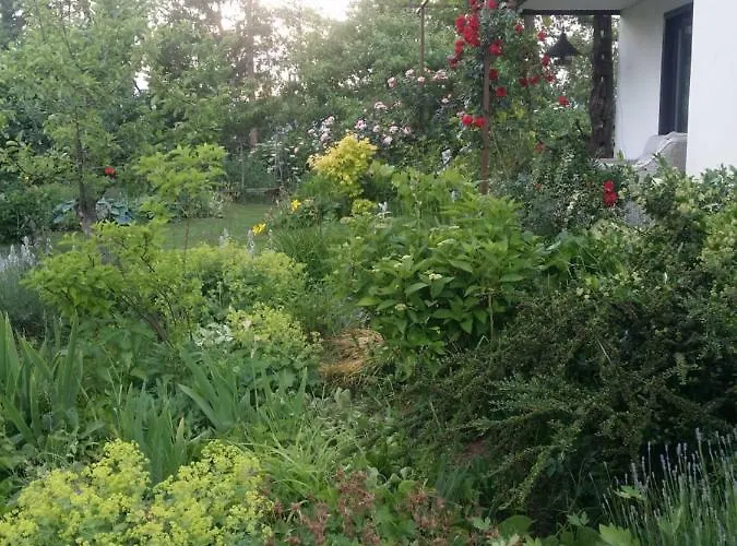 アパート Ivana B レスツェ