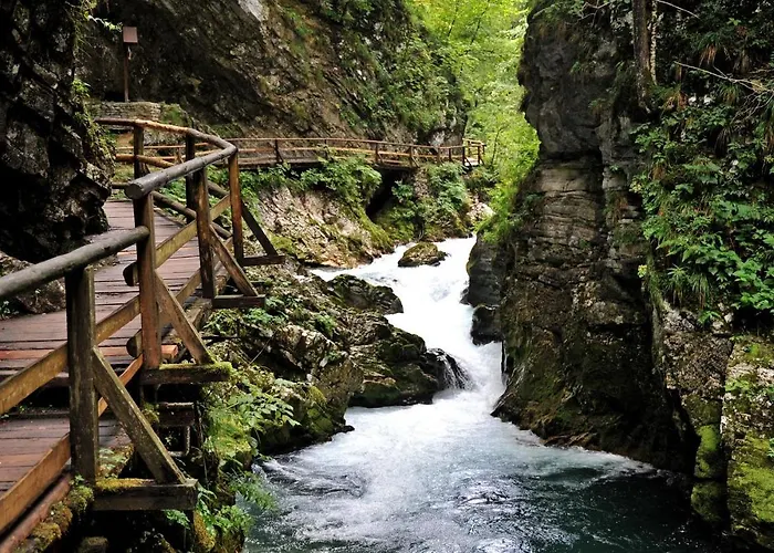 アパート Ivana B レスツェ